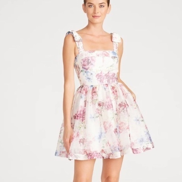 ML Monique Lhullier Peony Dream Dress - Picture 1 of 8